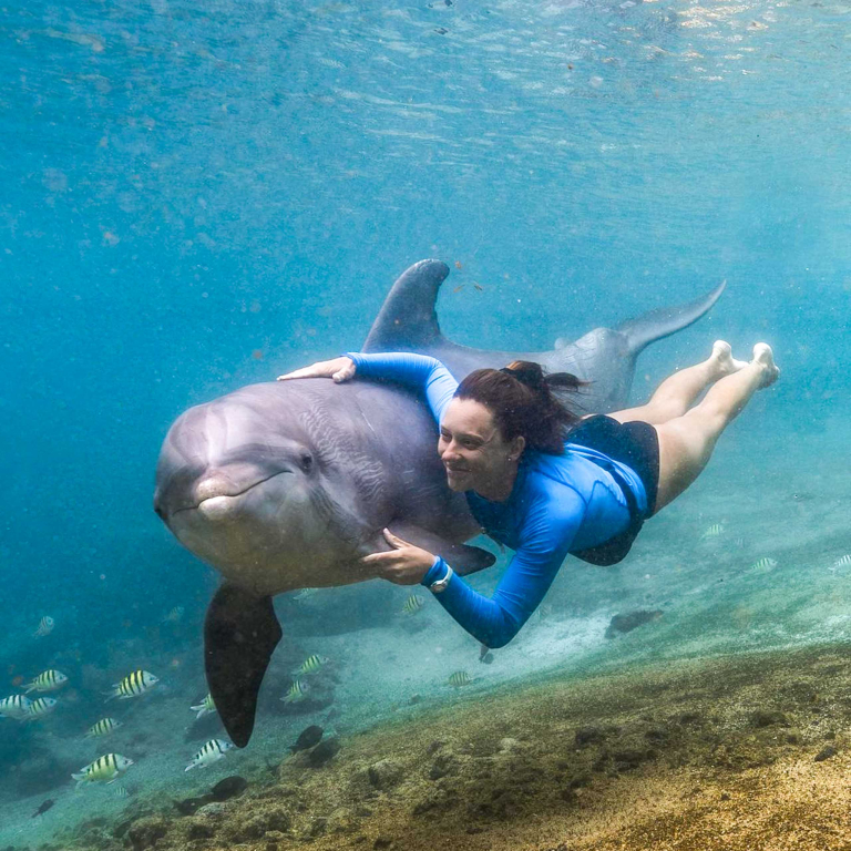 Swimming with the Dolphins in Waikoloa