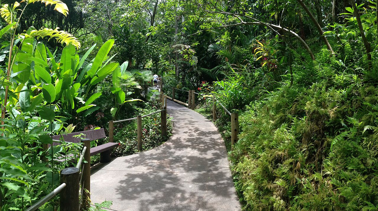 Hawaii Tropical Botanical Gardens